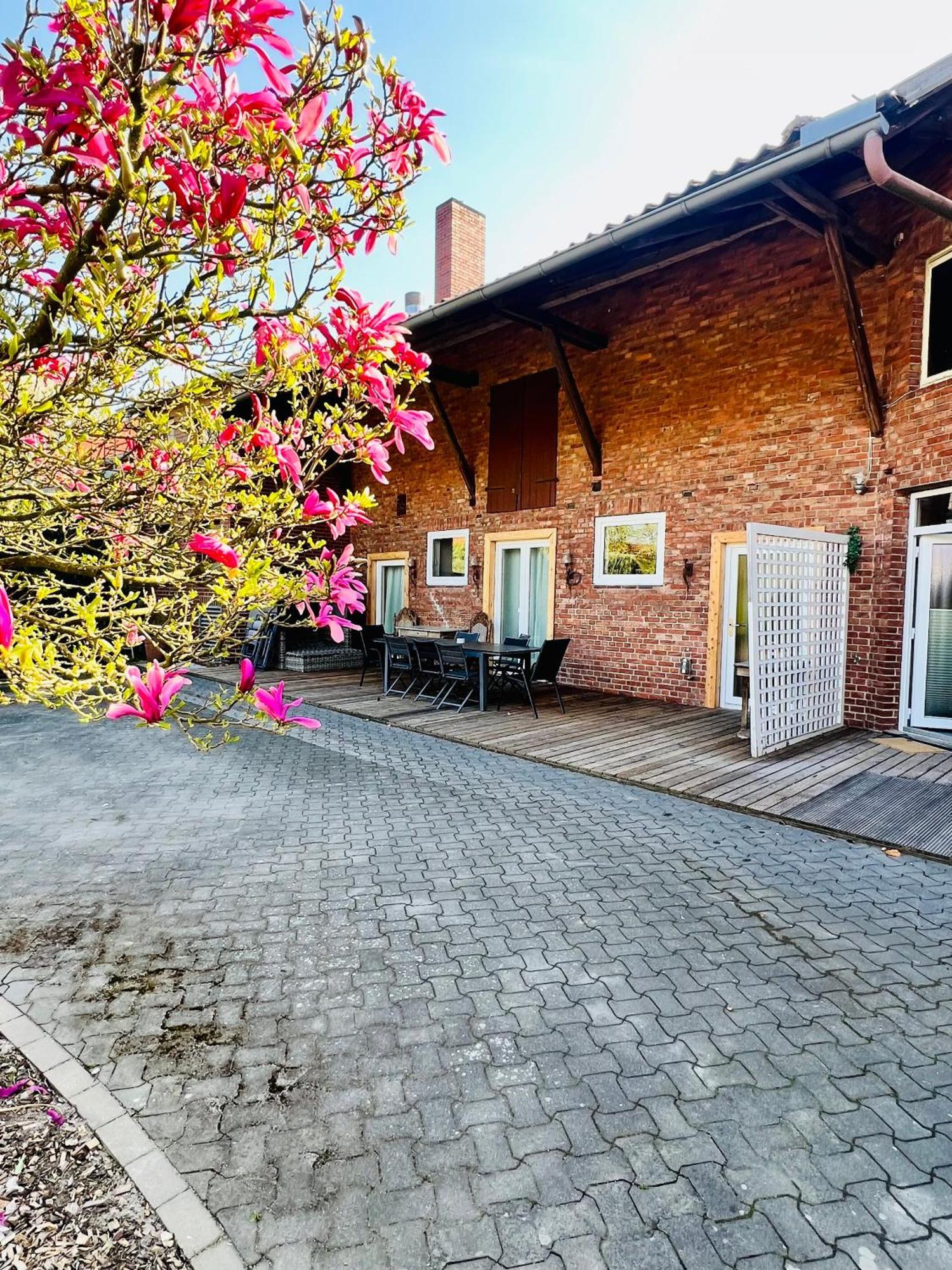 Ferienwohnungen Maedchen Вунсторф Экстерьер фото